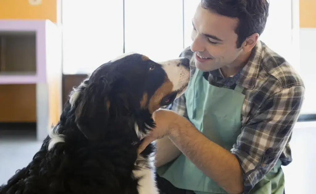 groomer petting dog after finishing bath
